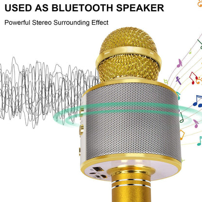 Skanto | Rechargeable Wireless Bluetooth Karaoke Microphone