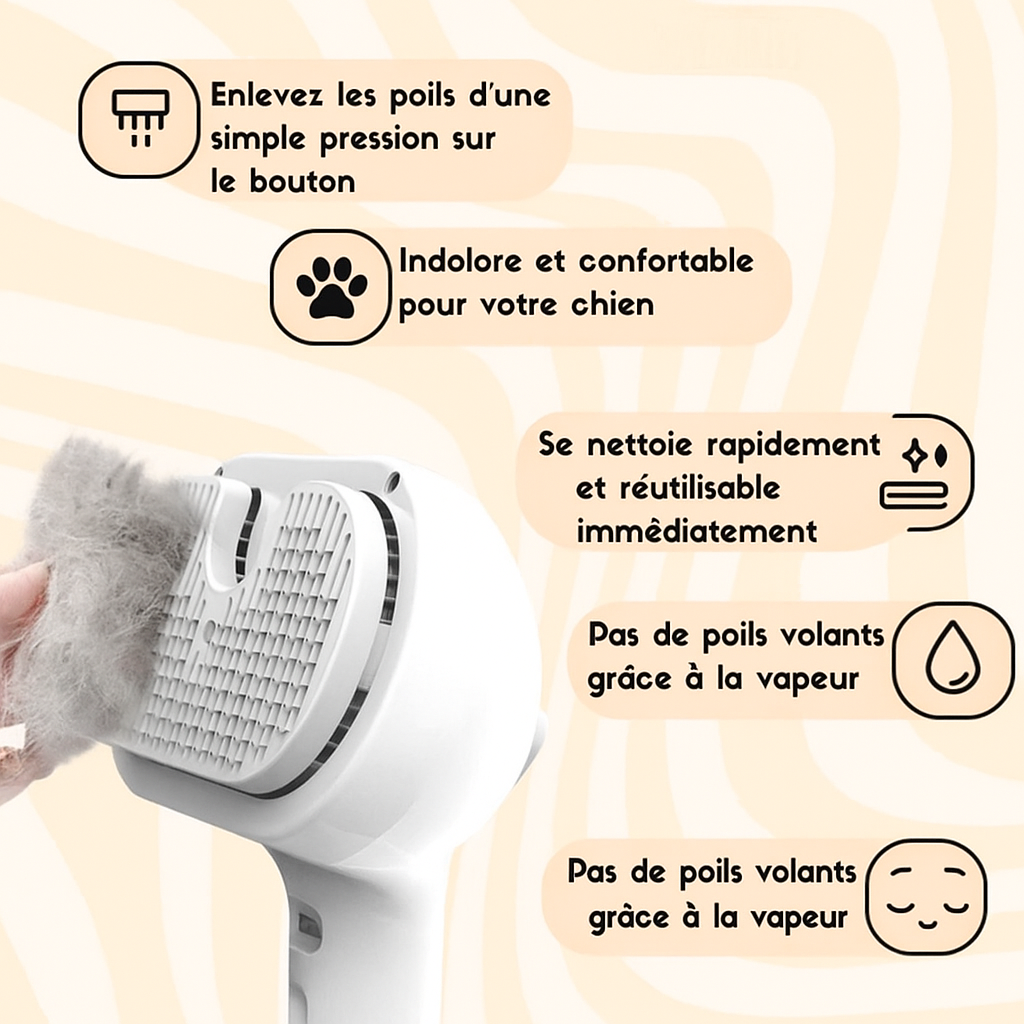 Skanto | PetGlow | Experience Radiant Softness