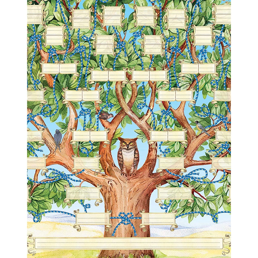 Skanto | Kletshuts Family Tree - DIY Family Tree Chart