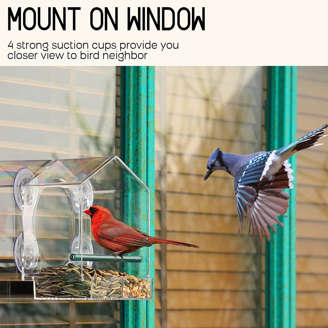 Skanto | Window Bird Feeder for Outdoor Use