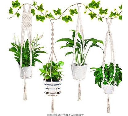 Plant pots Acalora