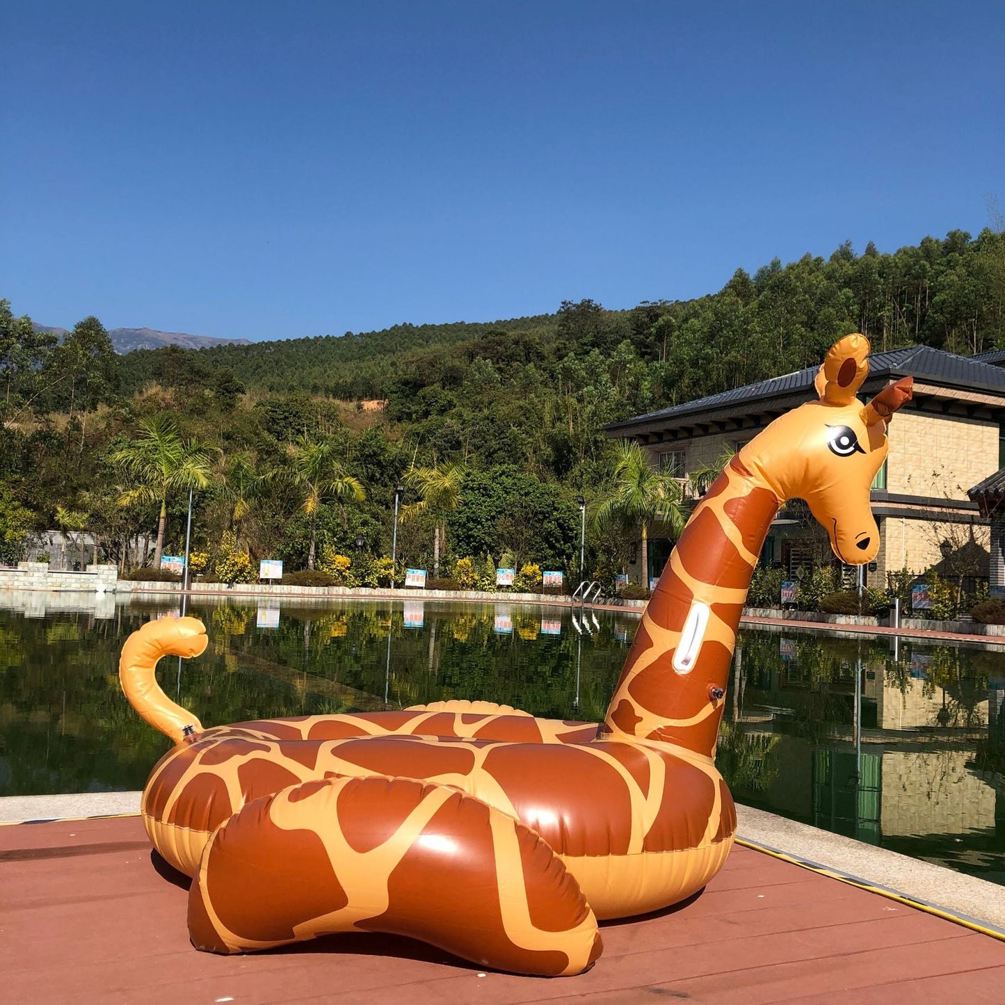 Unisex Inflatable Giraffe Pool Float Karnz