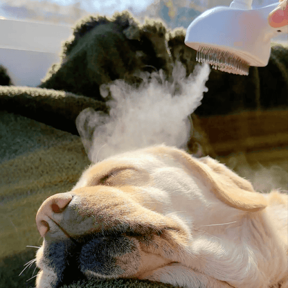 Skanto | DampfVacht Steam Brush – Gentle Care for Every Dog Coat