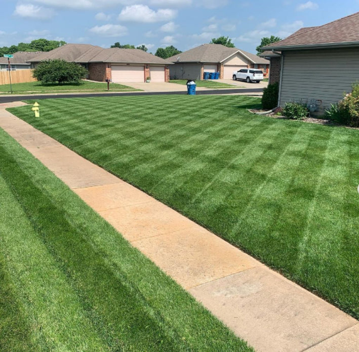 Green Grass Growth Spray | Spray your new lawn! | Karnz