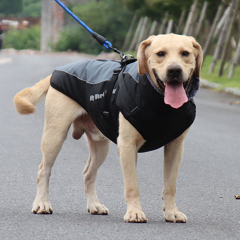 BowLift | Waterproof Winter Dog Jackets