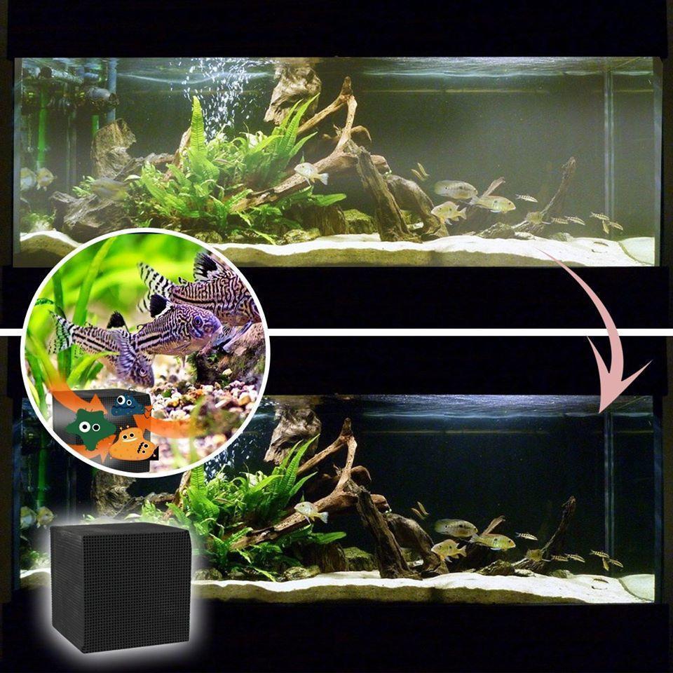 Skanto | Eco-Aquarium Water Purifier Cube