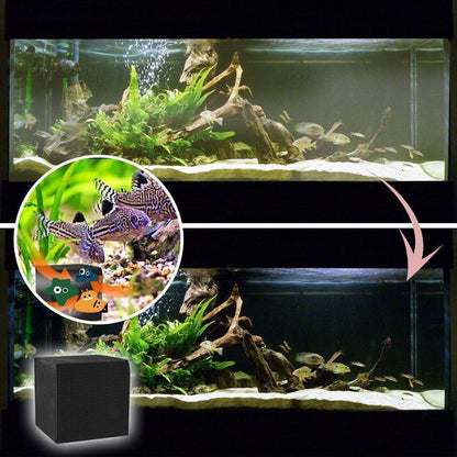 Skanto | Eco-Aquarium Water Purifier Cube