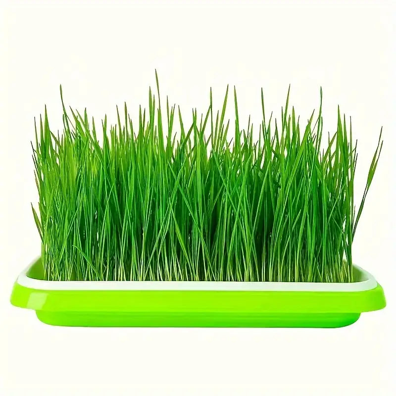 Skanto | Seedling Tray with Lid – Double-Layer Seedling Tray for Efficient Seed Germination