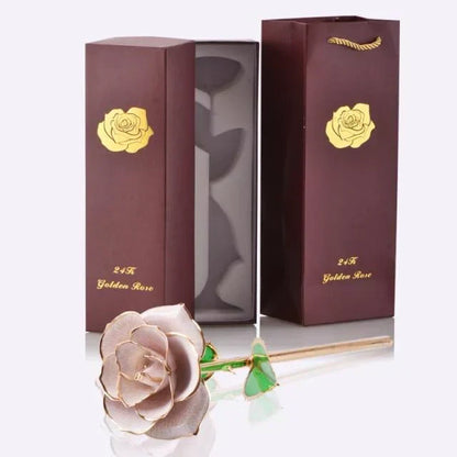 Skanto | 24k Gold-Dipped Eternal Rose