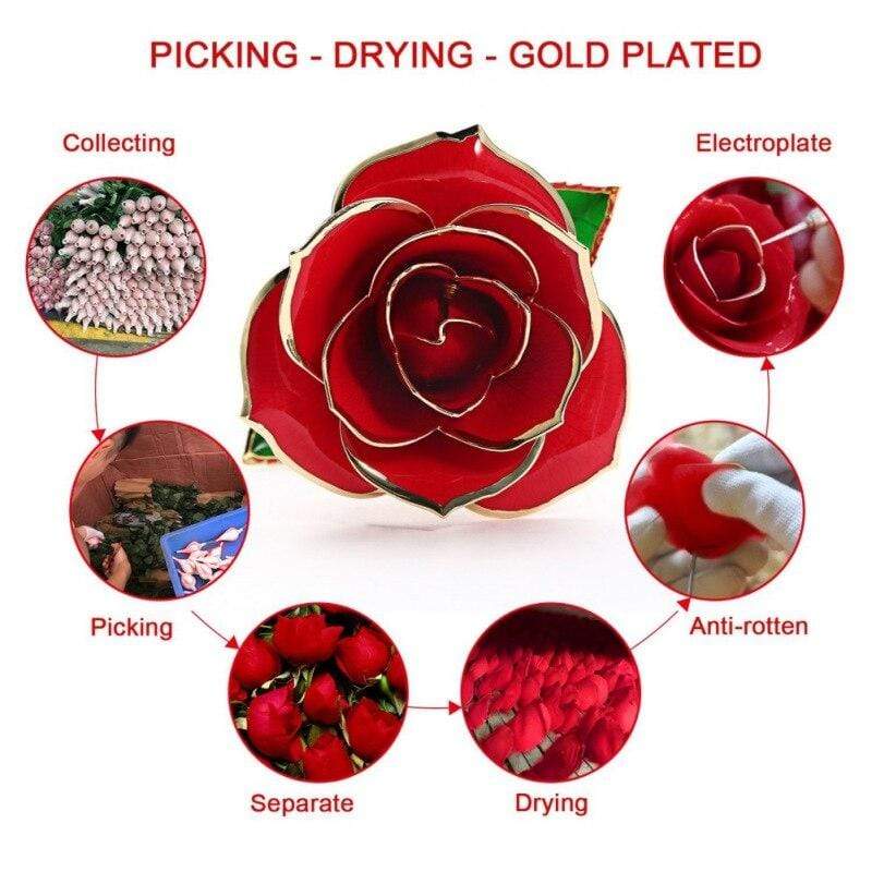 Skanto | 24k Gold-Dipped Eternal Rose
