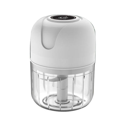 USB Rechargeable Electric Garlic Chopper | Karnz