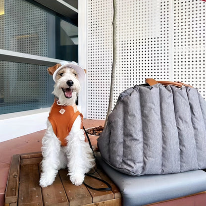 BowLift | Convenient and waterproof transport for your pet