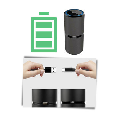Ionic Air Purifier
