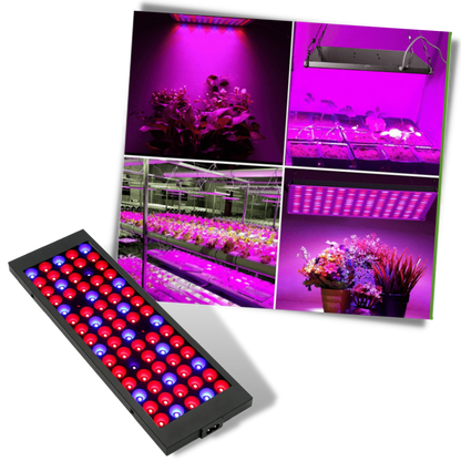 Hanging LED Grow Light with Full Spectrum
