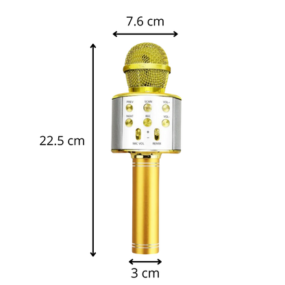 Wireless Bluetooth Karaoke Microphone