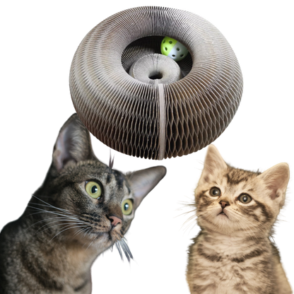 Cat Scratching Board