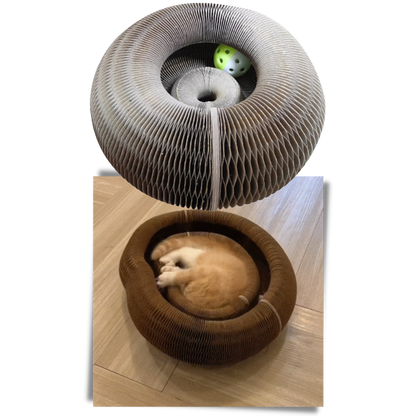 Cat Scratching Board