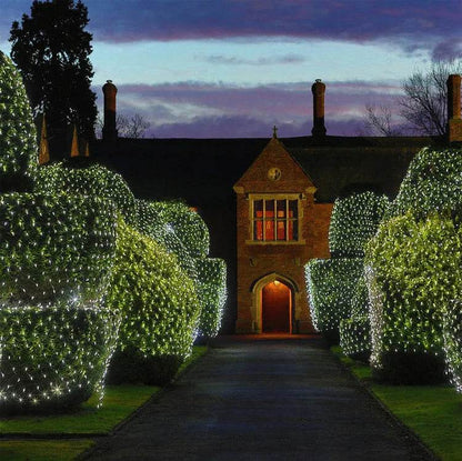 Skanto | Christmas LED Lights Outdoor Waterproof Fishtnet Lights Full of Stars Coated Holiday Lights Wedding Inn Decorative Lights