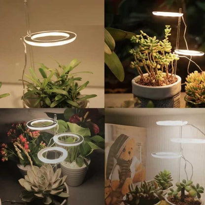 Skanto | Grow Light for Indoor Plants