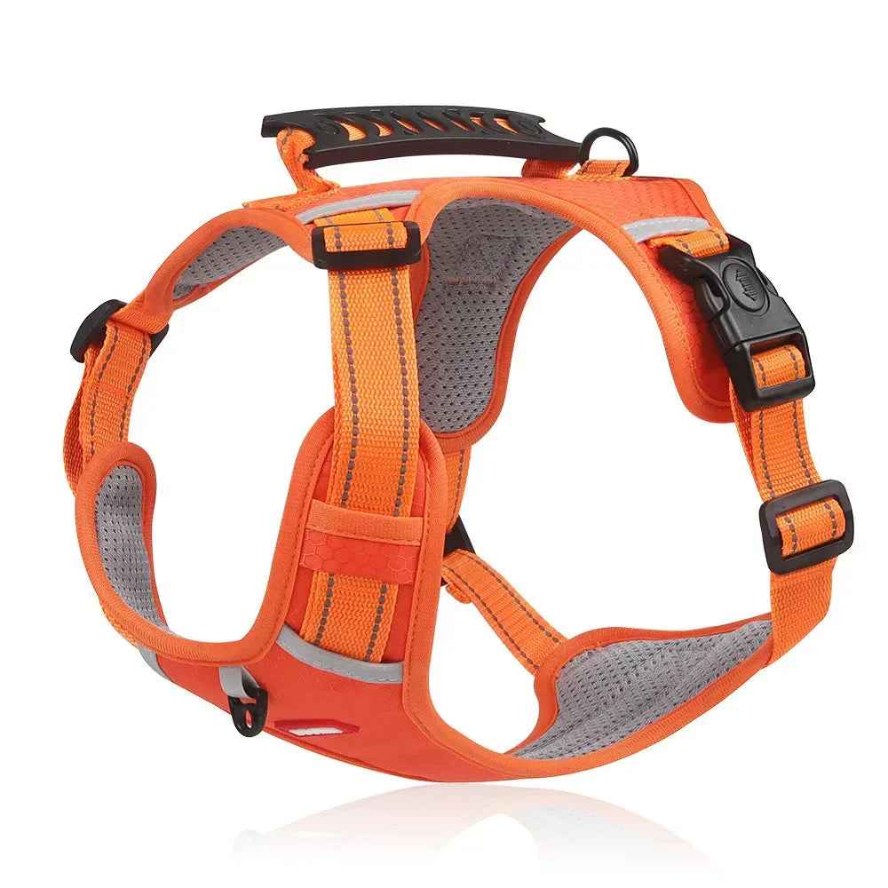 NoPull Dog Harness – WalkEase Skanto