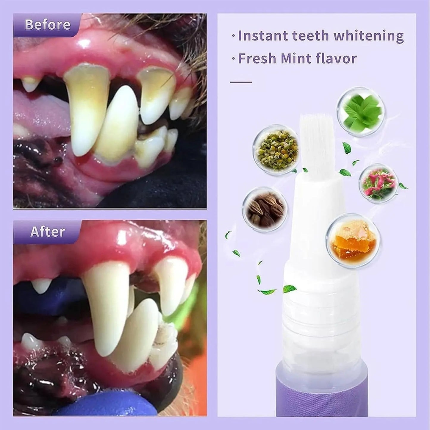 BowLift | Oral Restoration Gel for Pets