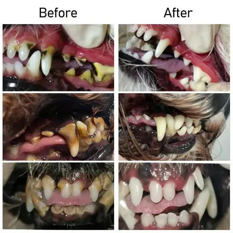BowLift | Oral Restoration Gel for Pets