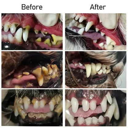 BowLift | Oral Restoration Gel for Pets