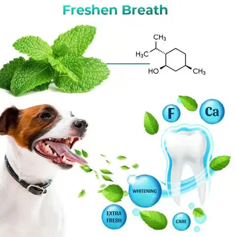 BowLift | Oral Restoration Gel for Pets