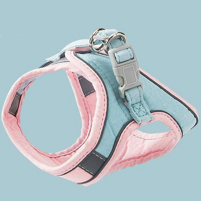 Harness and Leash Set for Cat | Skanto
