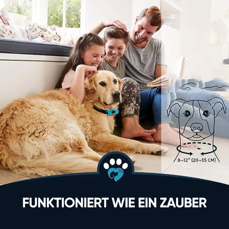 Rechargeable, waterproof dog trainer