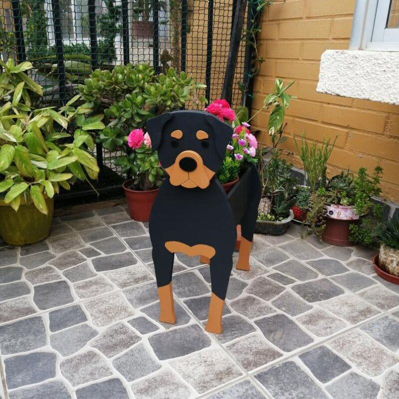 BowLift | Unique Pet Planter