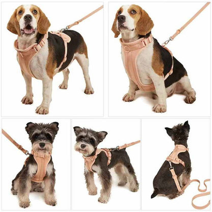 Skanto | Adjustable Dog Vest Harness with 3 Leash Clips