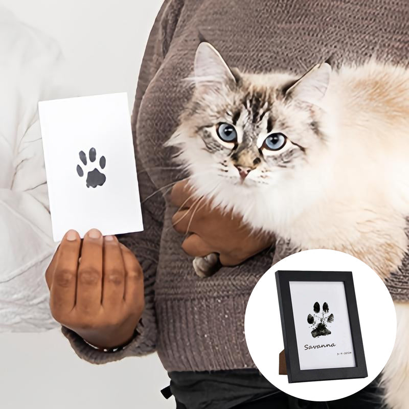 Norvo | DIY Pet Paw Print Memory Frame