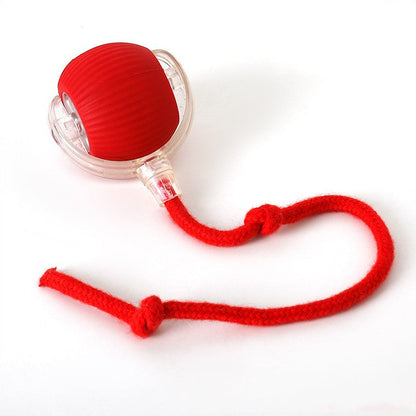 Skanto | Interactive Rolling Ball Toy with Tail for Dogs