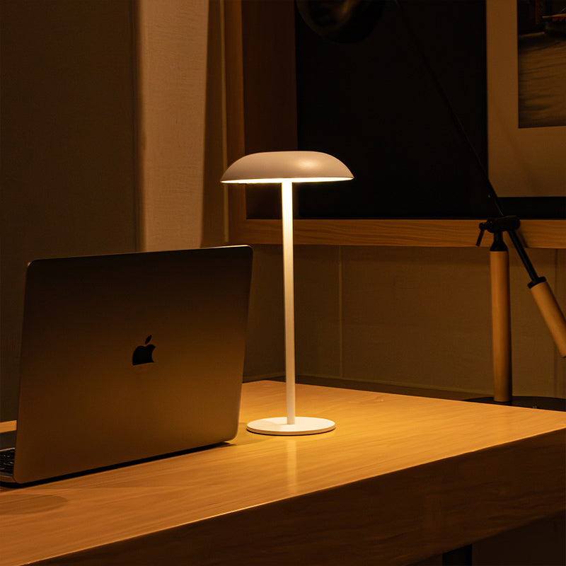 Skanto | Iron Elegance Lamp