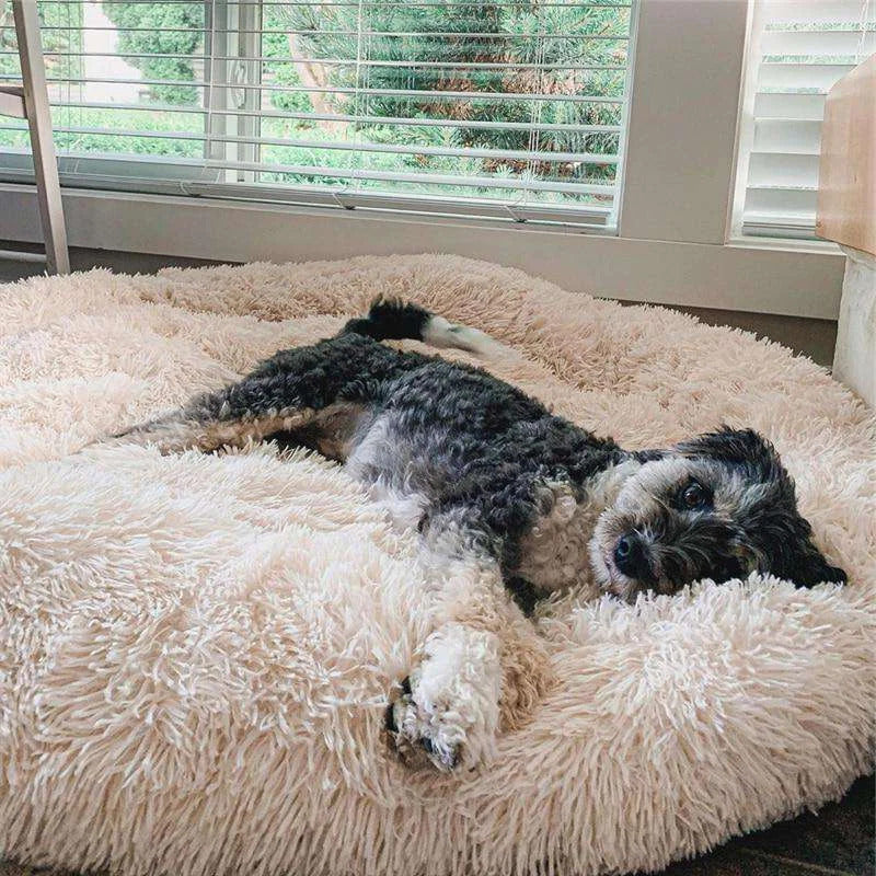 Skanto | Long Plush Donut Pet Bed with Washable Cover and Non-Slip Bottom