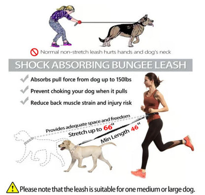 Skanto | Hands-Free Dog Leash with Zipper Pocket