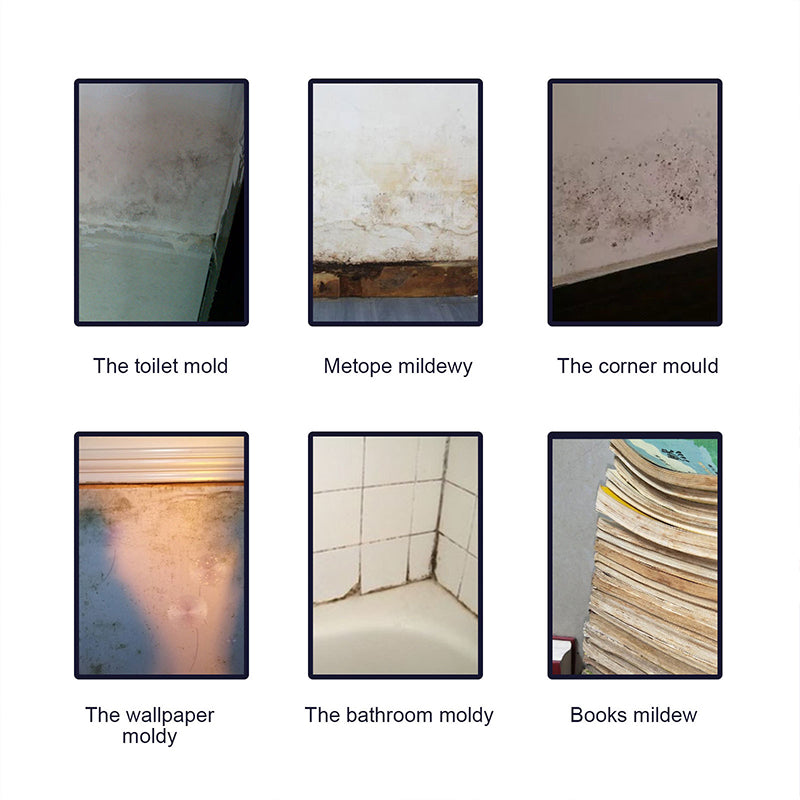 Skanto | Mold Remover Foam