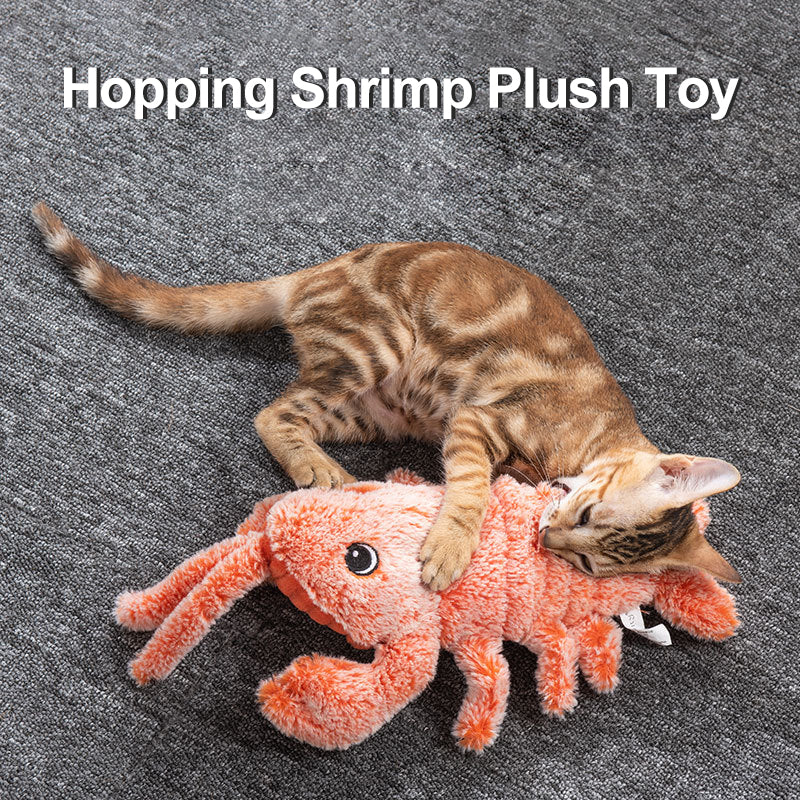 Skanto | Cat and Dog Toy