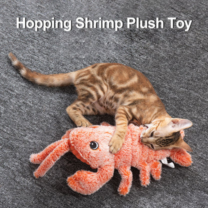 Skanto | Cat and Dog Toy
