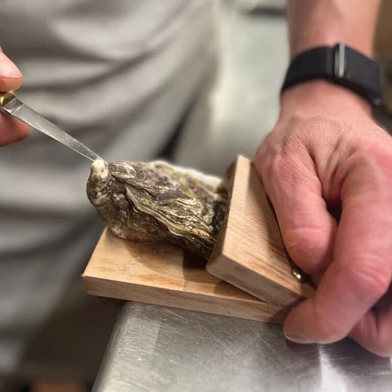 Oyster Opener Clamp