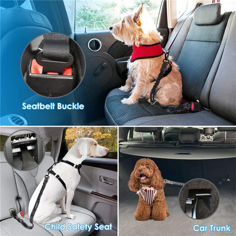 Skanto | Adjustable Dog Seat Belts