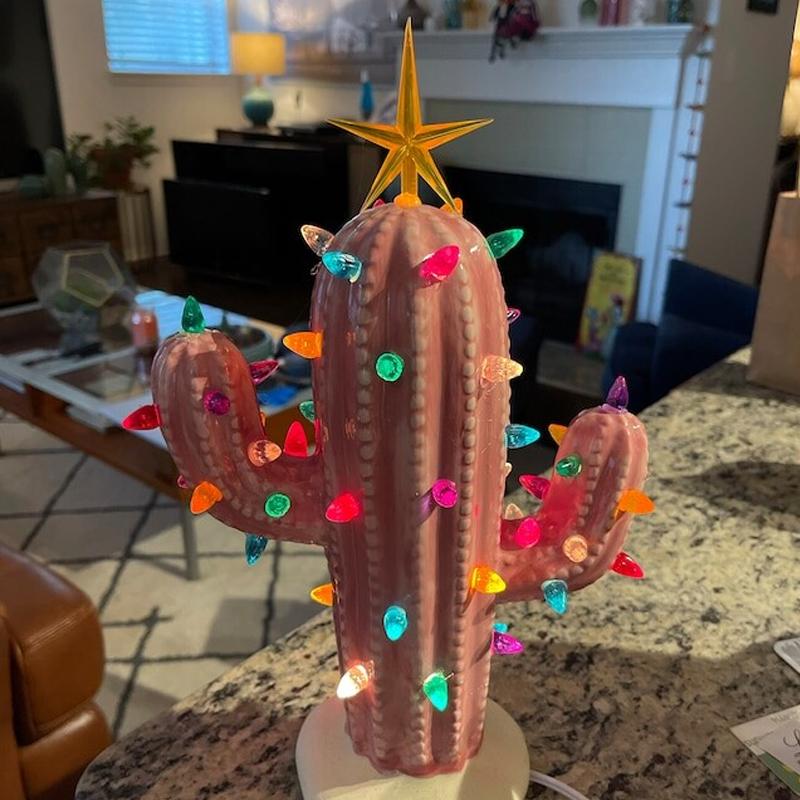 Brehn | Vintage Christmas Cactus