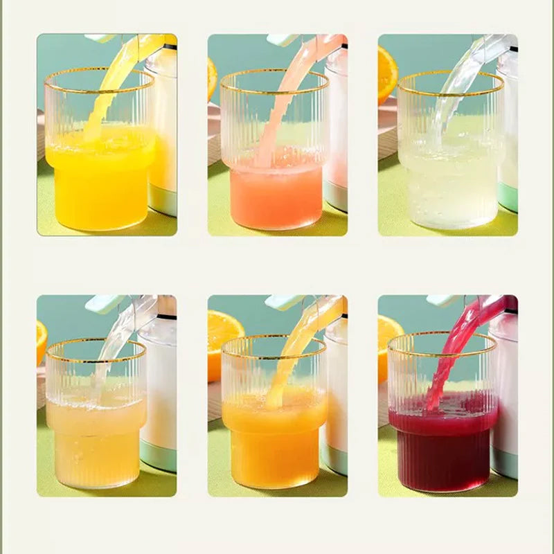 Skanto | Household Electric Juicer