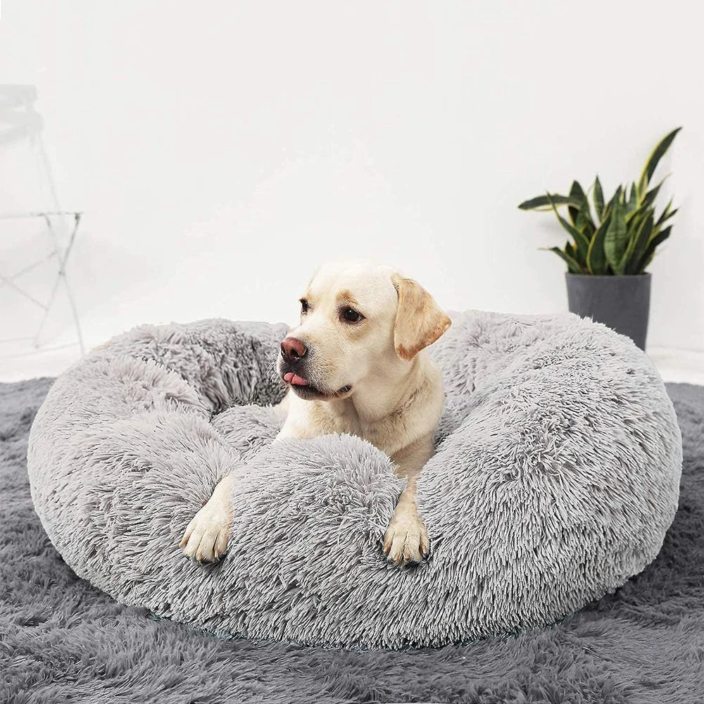 Premium Dog Bed Bowlift