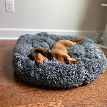 Skanto | Calming Dog Bed