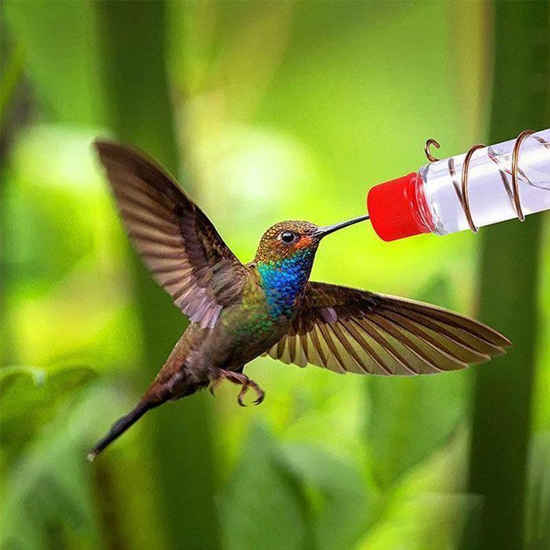 BowLift | Window Nectar - See the birds up close - Wonder guaranteed