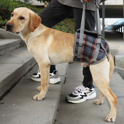 Orthopedic Rear Leg Harness