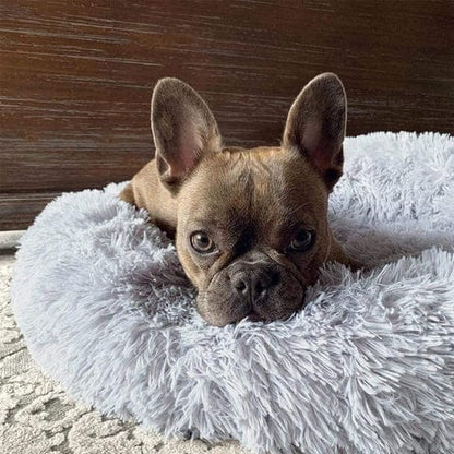 Skanto | Fluffy Calming Pet Bed for Dogs and Cats