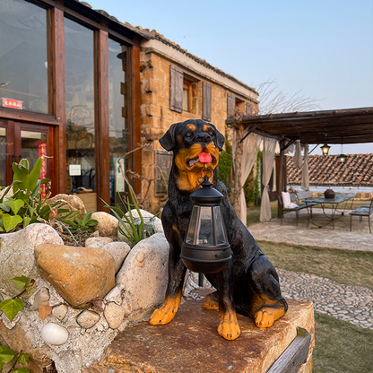 Playful Paws Solar Lamp Bowlift